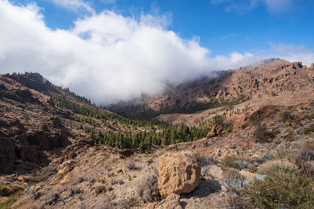 Beautiful rocky volcanic landscape in Teide national park in Tenerife, Canary islands.