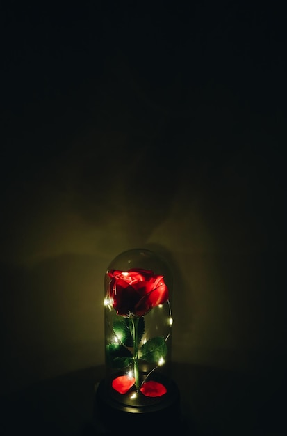 Beautiful rose flower in glass flask with illumination light romantic gift