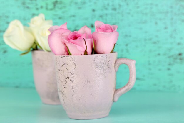 Beautiful roses in cups on blue background