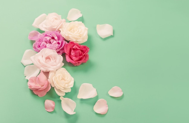 Beautiful roses on green paper background