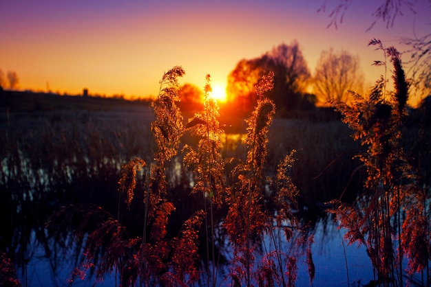 Beautiful rural evening landscscape