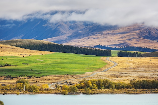 Beautiful rural  landscape of the New Zealand - green hills and trees