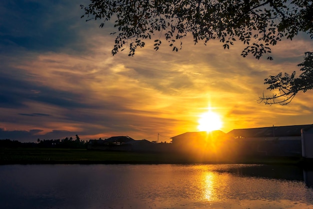 Beautiful rural landscape with trees and sunset