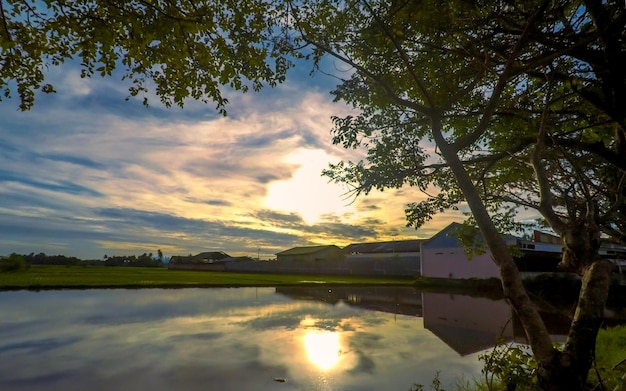 Beautiful rural landscape with trees and sunset