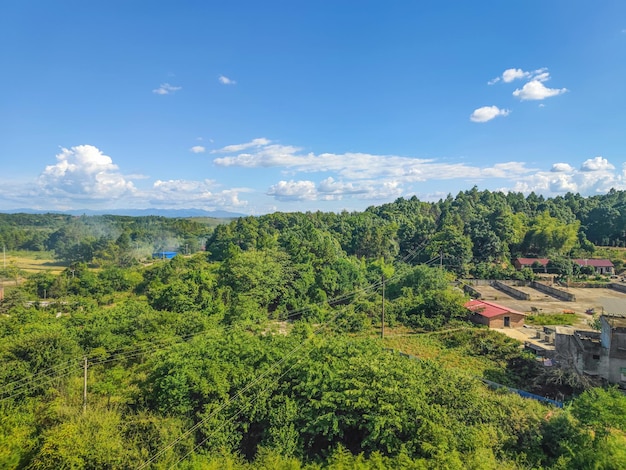 Beautiful rural nature in summer