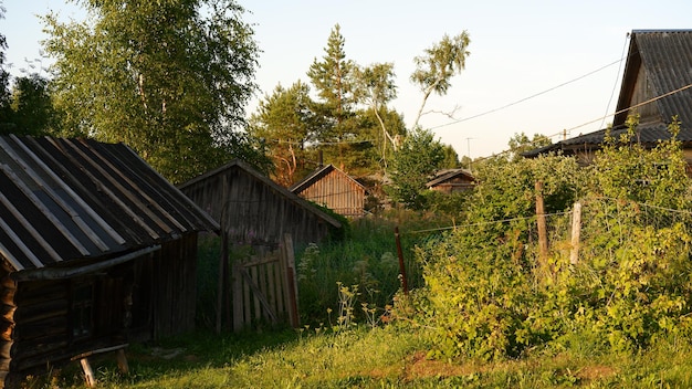 Beautiful rustic summer landscape Old wooden log houses Vologda region