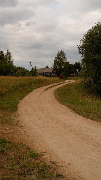 Beautiful rustic summer landscape with road Old wooden log houses Vologda region