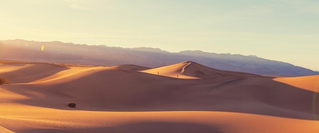 Beautiful sand dunes in desert at sunrise. Death Valley, Nevada, USA.