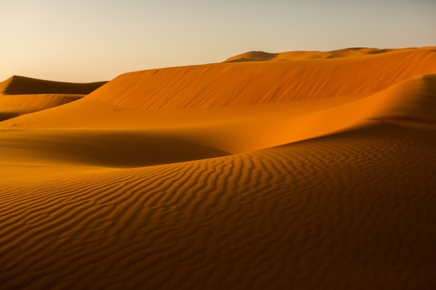 Beautiful sand dunes in the Sahara Desert in Morocco