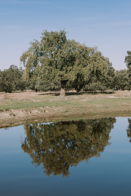 Photo beautiful scenery of the banks of a river