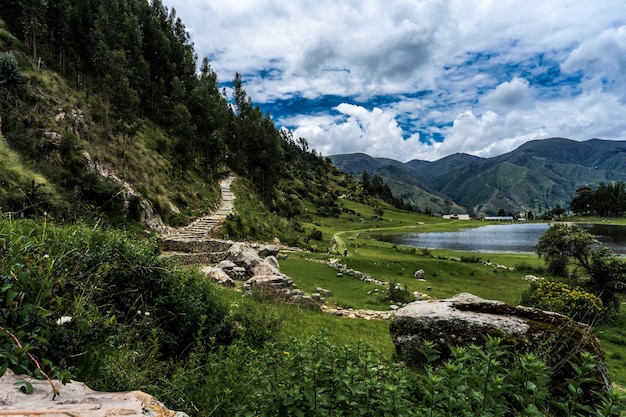 Beautiful scenery of a green landscape with a river and greenery