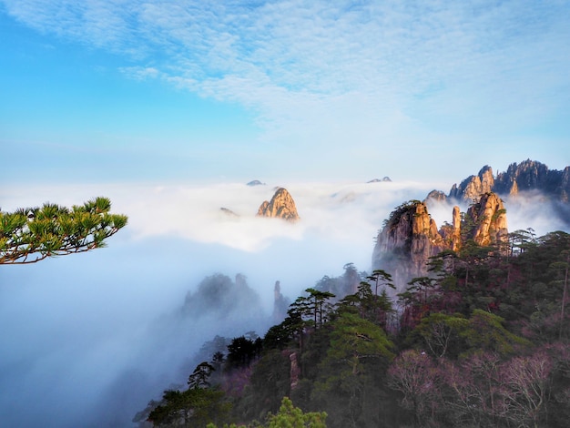 Beautiful Scenery Sea of Mist at Huangshan mountain in Anhui province, China.