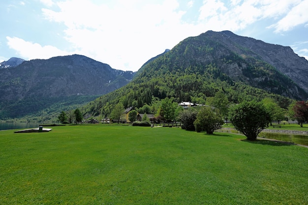 Beautiful scenic landscape over Austrian alps meadow in Hallstatt Salzkammergut Austria