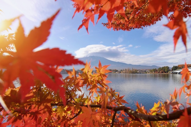 Beautiful scenic landscape of mountain Fuji , Japan