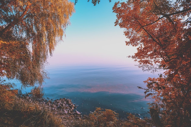 Beautiful sea coast with trees in autumn