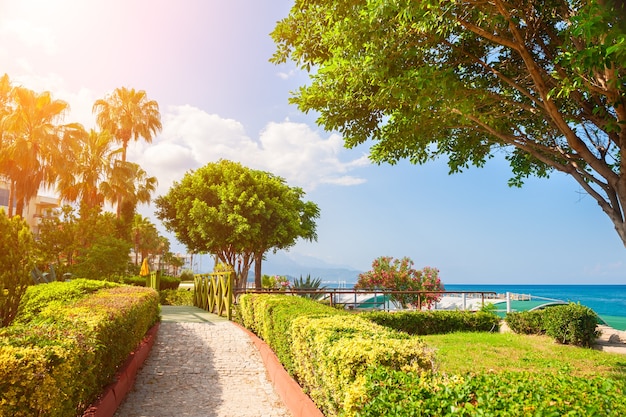 Photo beautiful sea promenade with green trees in kemer, turkey. summer landscape