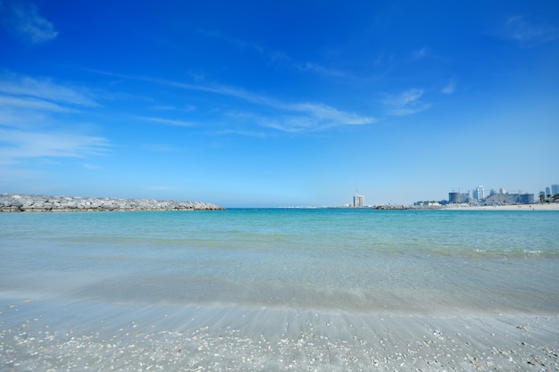 Beautiful sea shore and modern city built on the horizon.