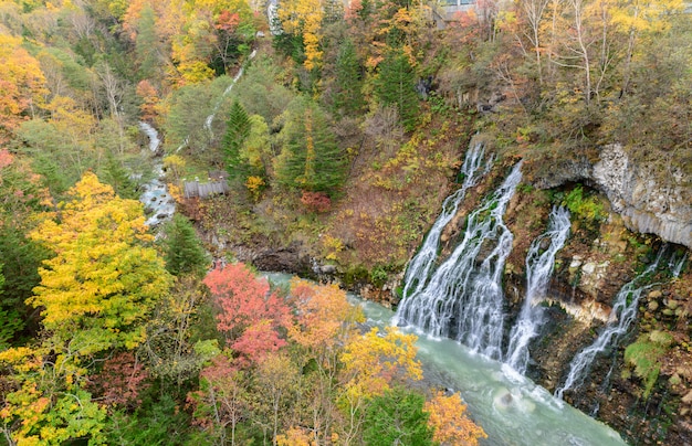 Beautiful Shirahige Waterfall and colourful tree in autumn