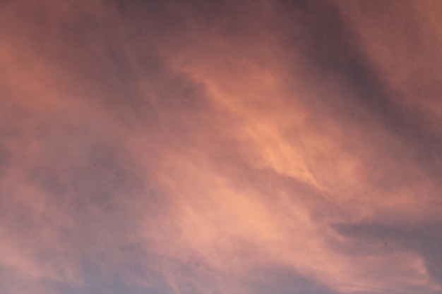 Beautiful shot of fluffy pink clouds in the sky