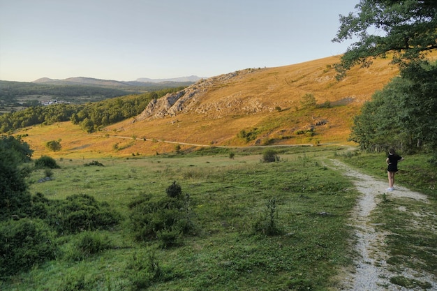 Beautiful shot of a landscape during the day