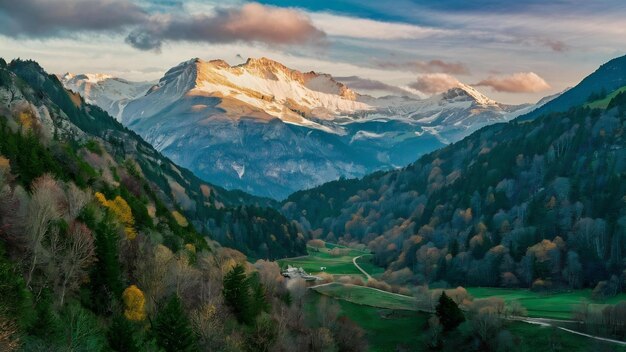 Beautiful shot of mountains and forests in switzerland