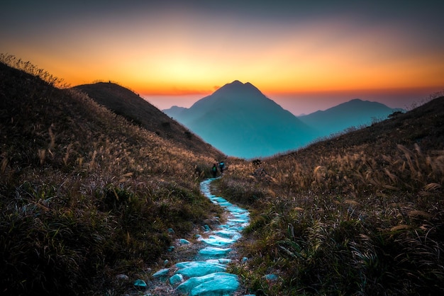 Beautiful shot of a narrow path surrounded by greenery in the hills at sunset