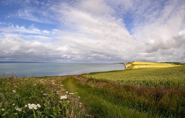 Beautiful shot of a natural landscape