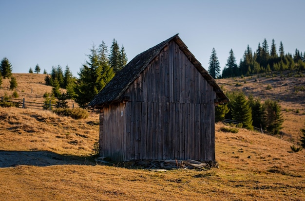 Beautiful shot of a small wooden house on a dry ground under a clear sky with shrubs