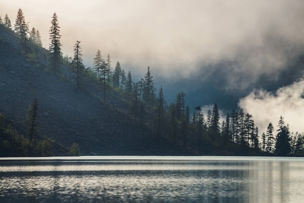 Beautiful silhouettes of pointy tree tops on hillside along mountain lake in dense fog