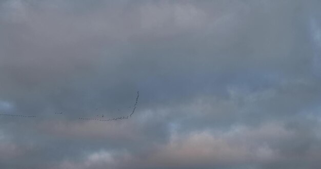 beautiful sky with clouds at dawn in winter