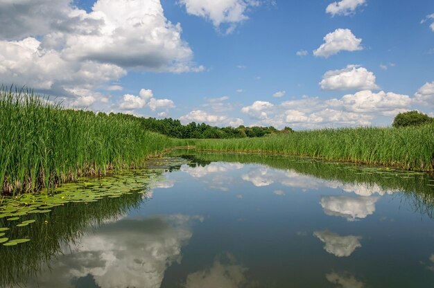 A beautiful sky with white clouds is reflected in the calm water of the Zdvizh River. Ukraine