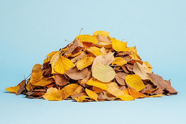 Photo beautiful small pile of autumn leaves composition