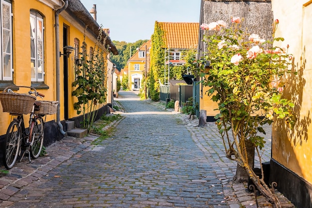 Beautiful, small, yellow rustic houses. Traditional Scandinavian style. Fishing village Sights Travels