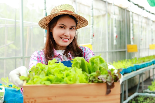 Beautiful smiling Asian woman doing organic farming Growing organic vegetables in outdoor greenhouses She holds a wooden box of fresh vegetables Healthy eating