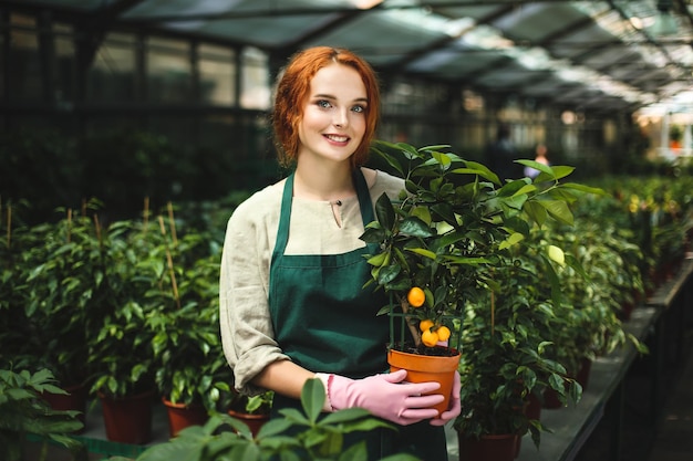 Beautiful smiling florist in apron and pink gloves standing with little mandarin tree in pot and joyfully looking in camera in greenhouse