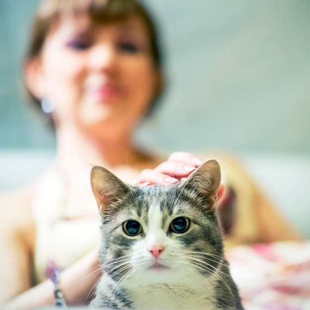 Beautiful smiling girl or young woman and cat, focus on cat