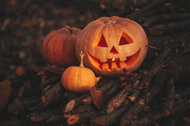 Beautiful smiling glow orange funny face carved pumpkins for Halloween holiday in day outdoor