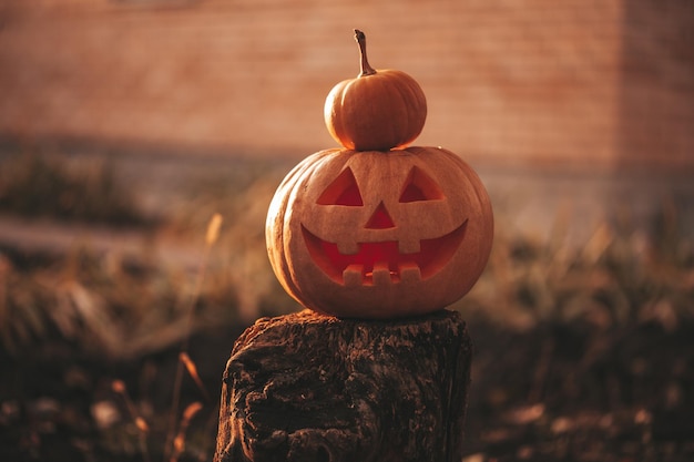 Beautiful smiling glow orange funny face carved pumpkins for Halloween holiday in day outdoor