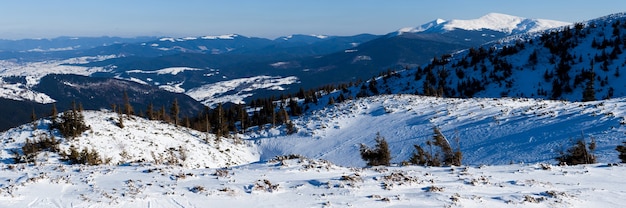 Beautiful snow-covered slope with fir trees covered with snow stand against the blue sky on a sunny winter day