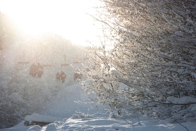 Beautiful snowcovered trees in the forest on the background of a ski lift and snowflakes flying in the air glistening