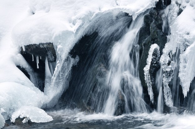 Beautiful snowy waterfall flowing in the mountains. Winter landscape. Snow covered trees