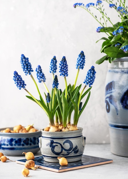 Beautiful spring floristic arrangement with blue grape hyacinth flowers