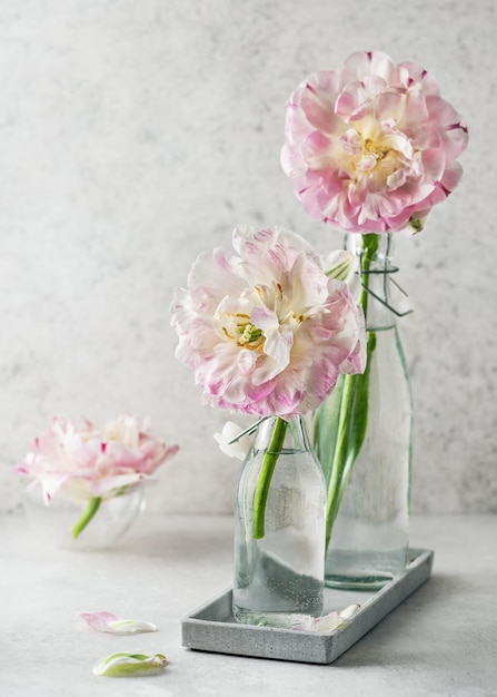 Beautiful spring floristic arrangement with pastel white and rosa filled tulip flowers in glass vase