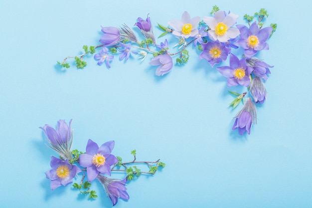 Beautiful spring flowers on blue background