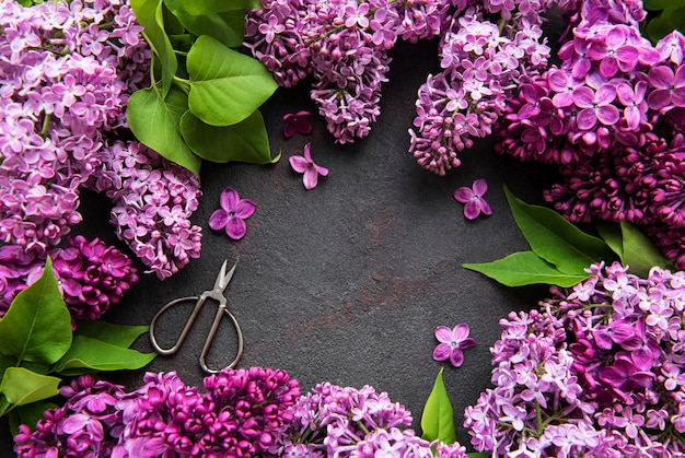 Beautiful spring flowers lilac on dark stone background with place for text