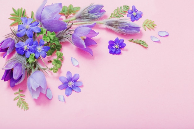 Beautiful spring flowers on pink background