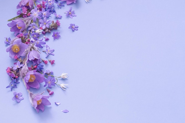 Beautiful spring flowers on purple background