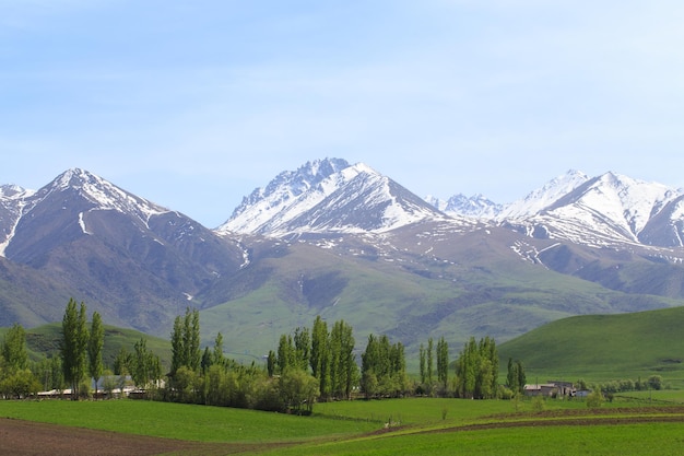 Beautiful spring and summer landscape Lush green hills high mountains Spring blooming herbs