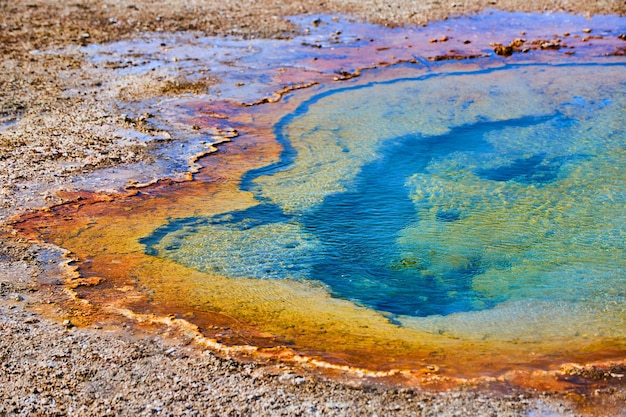 Beautiful spring in Yellowstone with variety of colors