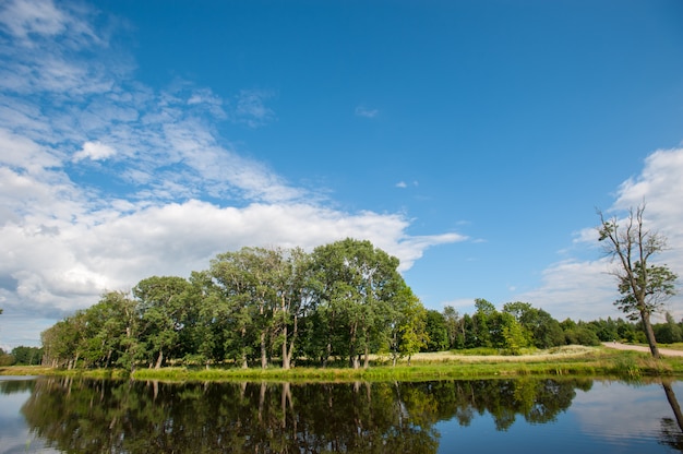 Beautiful still lake with trees on the horizon and white puffy clouds in the sky. Peaceful summer day at the cottage. Large green trees on a lake